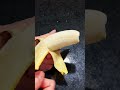 different banana from different country has different taste 来自不同地方的香蕉味道也不同的