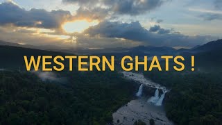 Nature Clips | Western Ghats