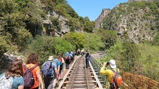 Vouraikos Gorge and the Rack Railway.The hiking experience. Διάσχιση Φαραγγιού Βουραικού ORA GROUP