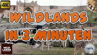 WILDLANDS Emmen Adventure Zoo 4K
