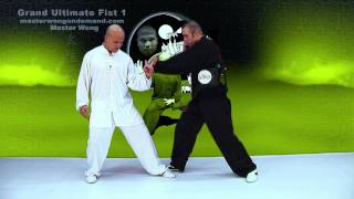 Tai Chi combat tai chi chuan fight style use tai chi - lesson 14