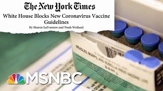 NYT Reports FDA Proposed Stricter Guidelines For COVID-19 Vaccine | Andrea Mitchell | MSNBC
