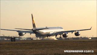 Lufthansa Airbus A340-642 [D-AIHQ] Sunset Landing in Los Angeles