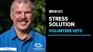 Veterans volunteer to find a path to improving mental health | ABC News