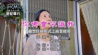 楊哲 vs 謝宜君 - 你哪會不識我【KTV導唱字幕】1080p HD