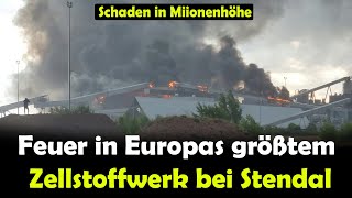 Feuer in Europas größtem Zellstoffwerk bei Stendal