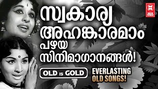 എക്കാലവും മലയാളസിനിമയുടെ സ്വകാര്യ അഹങ്കാരമായ നിത്യഹരിത ഗാനങ്ങൾ  | OLD IS GOLD | EVERGREEN SONGS