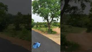 Nagavathi dam forest