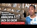 MEMULAI TERNAK KAMBING / DOMBA 5 EKOR, SEKARANG JADI 50 EKOR | @AGROTV9