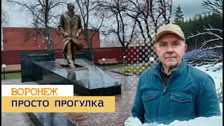 Просто прогулка, Воронеж 08 01 25г