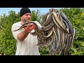 Outdoor Cooking Exotic Eel, Sea Octopus, Crayfish and more! Recipes Compilation By Kanan Badalov