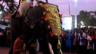 Elephant Procession during Sri Jagannatha Temple Festival, Thalassery, Kannur, Kerala