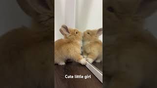 Cute little bunny enjoys herself #animals #cute #bunny #little #fluffy