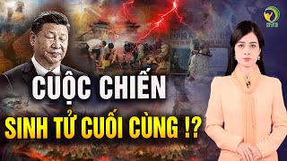 LÁ BÀI HIỂM TỪ CHÍNH QUYỀN TRUNG QUỐC - KHỎE TỰ NHIÊN