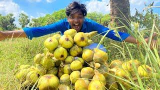 பனை நுங்கு பறித்து பாயாசம் செய்யலாமா | Palm Fruit Payasam recipe | Palm Fruit hunting