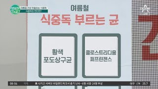 집단 식중독의 원인, 식중독을 부르는 균은 어떤 것일까? | 행복한 아침 875 회