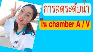 การลดระดับน้ำในchamber #พี่แนะแนวพี่แนะนำstylepu #เรียนไตเทียม #ฟอกไต