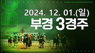 (부산) 2024.12.01 3경주