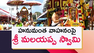 Tirumala: హనుమంత వాహనంపై భక్తులకు దర్శనమిచ్చిన మలయప్ప స్వామి | #local18