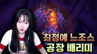 드디어 배공장이 신화 느조스를 킬하였습니다!! M 12/12 Raid Leader