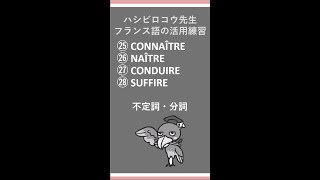 《フランス語文法》ハシビロコウ先生動画 【つぶやきのフランス語文法 巻末活用表】不定詞（不定法単純形）・分詞 ㉕connaître ㉖naître ㉗conduire ㉘suffire