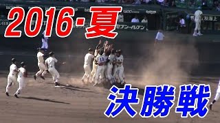 外野席からの臨場感【決勝戦】作新学院 - 北海高校　高校野球2016