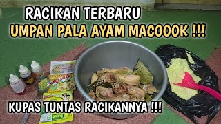 UMPAN PALA AYAM GALATAMA LELE TERBARU