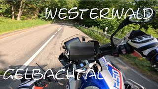 R 1250 GS Die schönsten Motorrad Strecken im Westerwald. Gelbachtal. Boxer Sound.