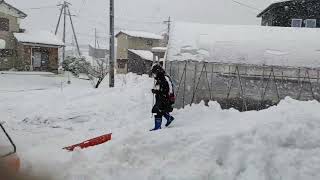 雪国の子供達の雪遊び