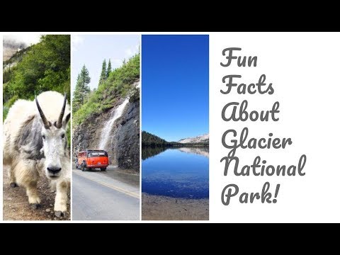 Fun Facts About Glacier National Park! - YouTube