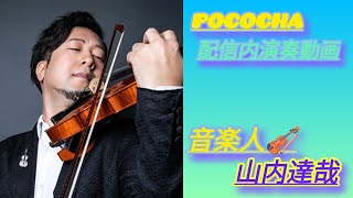 ヴィバルディ~夏~  冬じゃありません夏ですwww 音楽人🎶山内達哉氏 演奏動画  2024/04/16 夜