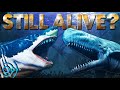 Why the Megalodon is DEFINITELY Extinct (Top 10 Reasons)