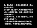 【閲覧注意】監視されるアパート【恐怖郵便】都市伝説・怪談・怖い話