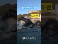 봄바다 shorts 노핀 철인3종 바다수영 만타