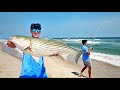 Surf Fishing for Northeast’s MOST POPULAR Fish!!! Catch Clean Cook Striped Bass!