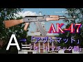 an 94 アバカン のアバカンは何なのか。【実銃解説】