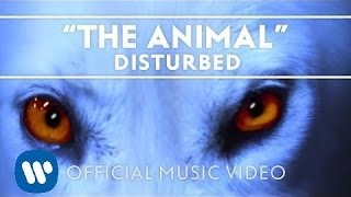 Disturbed - The Animal [ Music ]