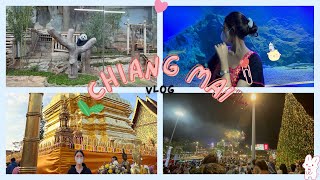 Chiang Mai Vlog | ปีใหม่เที่ยวเชียงใหม่ style คนรีบ ๆ