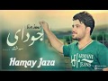 Hamay jaza  saxta jwday