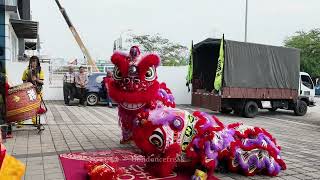 CNY 2025 - 吉隆坡联善龍獅團 LS Lion Dance Performance at K Line Logistics