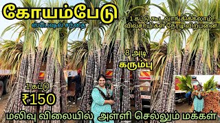 🎋 Sugarcane market in Koyambedu Asia biggest market | Pongal Festival sugarcane | Turmeric | Ginger