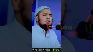 অযথা কথা মানুষকে জাহান্নামে নিয়ে নেয়, মুফতি ইউসুফ বিন ইকবাল হাফিঃ #new_waz #banglawaz #waz #islamic