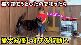 【優しい犬】大好きな妹が叱られた時、甲斐犬一休は・・・