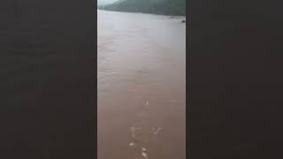 Shastri river Sangmeshwar #shorts #konkanrailway #train #kokan #konkan #ratnagiri #monsoon #travel