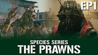 The Prawns (District 9) Ep 1 - Species Series