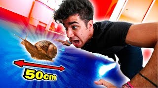 O MEU CARACOL DE ESTIMAÇÃO CRESCEU MUITO !