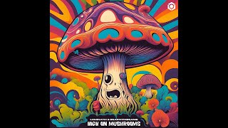 Luminatix, BearWithBeanie - High on Mushrooms - Official