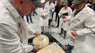 See the cutting and judging at the U.S. Championship Cheese Contest