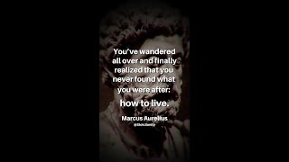 HOW TO LIVE - STOIC MOTIVATION #quote  #marcusaurelius  #shorts