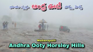 ఆంధ్రా ఊటీ హార్సిలీ హిల్స్ సూపర్ కదా / Andhra Ooty Horsley Hills Super #madanapalli #horsleyhills